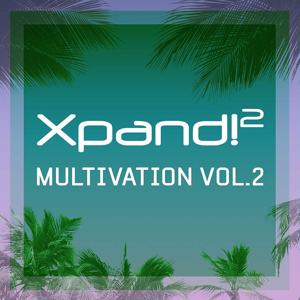 Multivation Vol 2 Expansion Pack